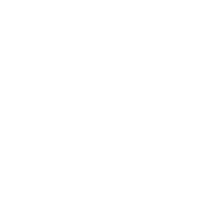 Conexión